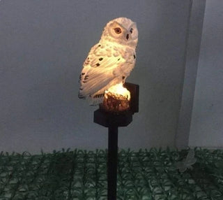 Owl garden light review