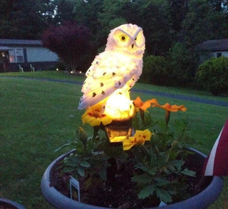 Owl garden light review